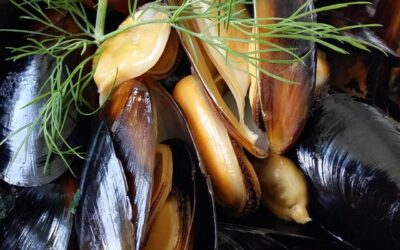 Eddi probiert den Muschel-Teller und kaut lange Salz (Aufbau der Dünndarmwand)